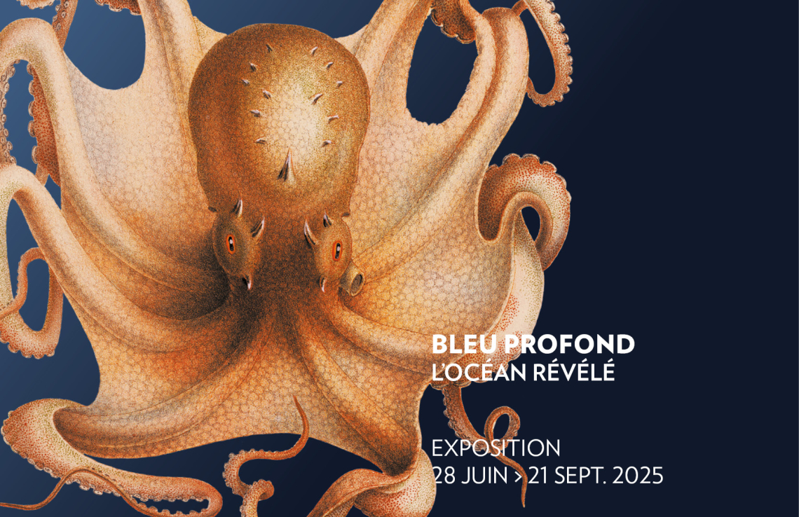 Bleu profond, l'océan révélé